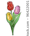 Tulip 96422001
