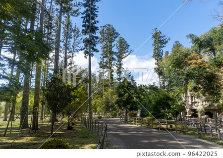 日本三大名勝之一的松島 瑞嚴寺登山道上的雪松林(宮城縣松島市) 日本三大名勝之一的松島 瑞嚴寺登山道上的雪松林(宮城縣松島市) 96422025