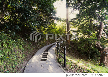 日本三大名勝之一的松島 福浦島的林道（宮城縣松島市） 96422026