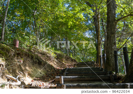 Nanatsumori Park Forest Road (Yamato Town, Miyagi Prefecture) 96422034