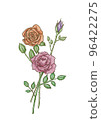 Rose   96422275