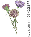Carnation _ 02 96422277