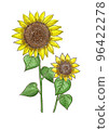 sunflower	 96422278