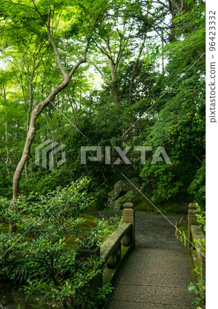 Beautiful bridge of Rurikoin surrounded by Kyoto greenery 96423332