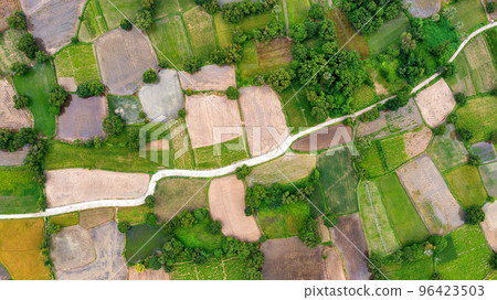 Ta Pa rice fields are beautiful in the morning Ta Pa rice fields are beautiful in the morning 96423503