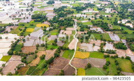 Ta Pa rice fields are beautiful in the morning 96423505