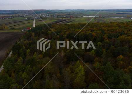 Panoramic view of Ukrainian fields and forests in Ternopil in autumn. 96423686