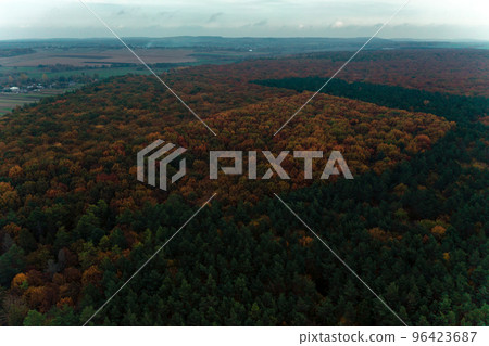 Autumn panorama of yellowed leaves, top view of the colorful forest that stretches across the territory of Ukraine. 96423687