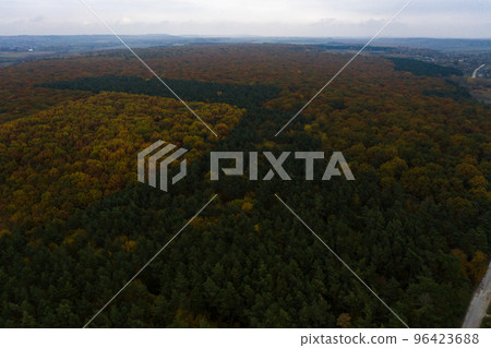 Photo of the forest taken by a drone, a beautiful autumn landscape of deciduous forest in the Ternopil region of Ukraine. 96423688