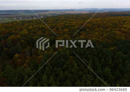 Photo of the forest taken by a drone, a beautiful autumn landscape of deciduous forest in the Ternopil region of Ukraine. Photo of the forest taken by a drone, a beautiful autumn landscape of deciduous forest in the Ternopil region of Ukraine. 96423689