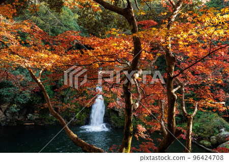 Autumn leaves and Kannon waterfall 96424708