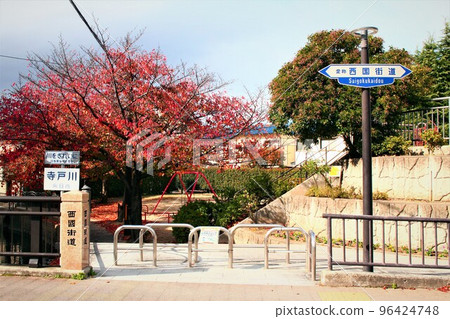 Saigoku Highway and autumn leaves 96424748