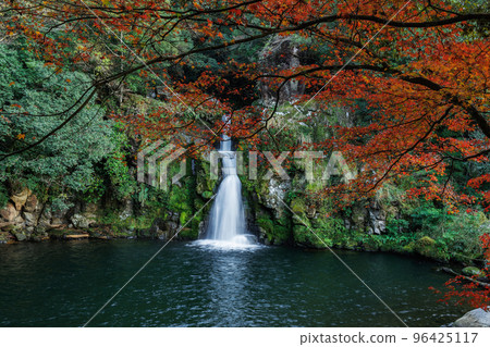 Autumn leaves and Kannon waterfall 96425117