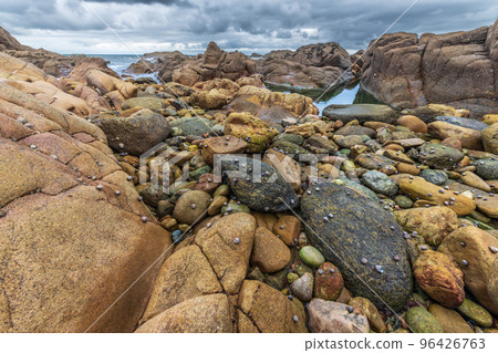 Rocks covered with shells on the Atlantic coast. 96426763