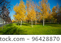 golden autumn in the Moscow park 96428870
