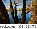 trees near the Moscow river 96428878