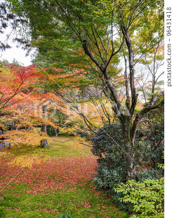 Autumn leaves in Ohara Sanzen-in Temple (Autumn) 96431418
