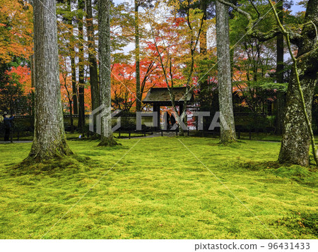 Ohara Sanzen-in Temple (Autumn) precincts 96431433