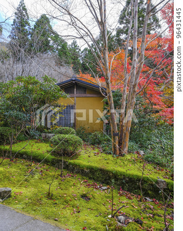 Ohara Sanzen-in Temple (Autumn) precincts Ohara Sanzen-in Temple (Autumn) precincts 96431445