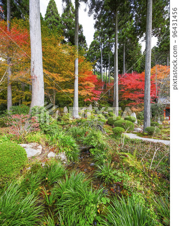 大原三千院（秋季）院內 96431456