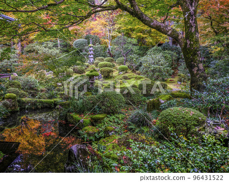 大原三千院（秋季）鬆平園 96431522