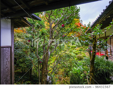 Ohara Sanzen-in Temple (Autumn) precincts 96431567