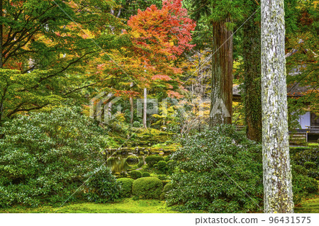 大原三千院(秋季)院內 大原三千院(秋季)院內 96431575