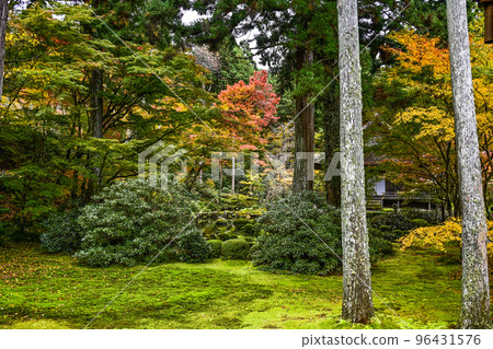 大原三千院（秋季）院內 96431576