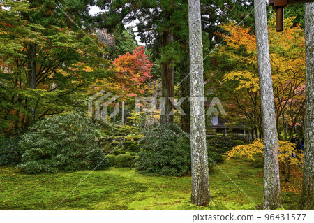 大原三千院（秋季）院內 96431577