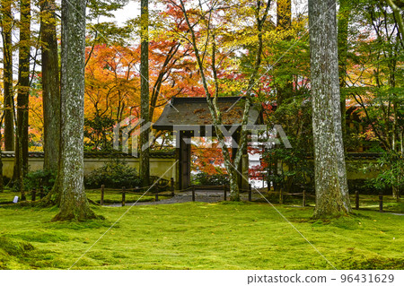 大原三千院（秋季）院內 96431629