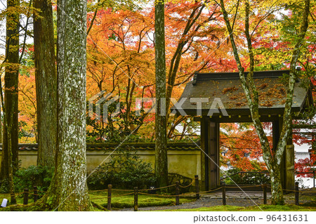 大原三千院(秋季)院內 大原三千院(秋季)院內 96431631