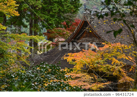 大原三千院的紅葉(秋天) 大原三千院的紅葉(秋天) 96431724