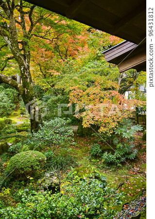大原三千院（秋）集河溪園的紅葉 96431812
