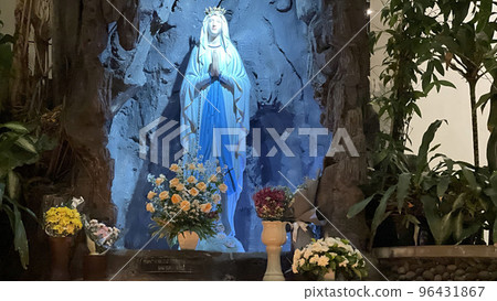 Tropical fish pond with Colorful decorative green tropical plantation for backyard decoration ideas Tropical fish pond with Colorful decorative green tropical plantation for backyard decoration ideas 96431867