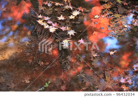 Raizan Sennyoji Temple Kaede Japanese Garden 96432034