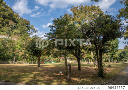 神奈川縣大磯町大磯城山公園交流廣場 96432557