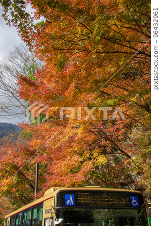 Daisen bus stop, Isehara City, Kanagawa Prefecture Daisen bus stop, Isehara City, Kanagawa Prefecture 96432961