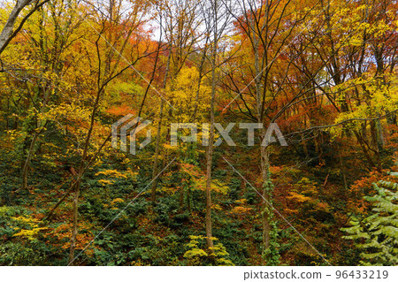 Mountain colored with autumn leaves Mountain colored with autumn leaves 96433219