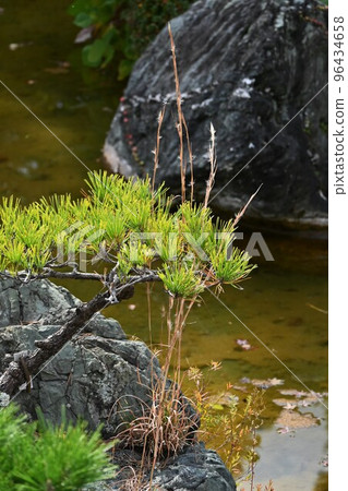 美利堅卡魯卡亞 96434658
