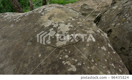 Moss-covered cobblestone in the green forest. Sochi, Lazarevskoe, Berendeevo kingdom 96435824
