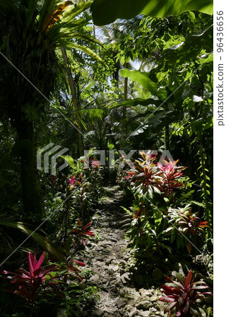 The world heritage site. Nan Madol in Pohnpei, Micronesia. The world heritage site. Nan Madol in Pohnpei, Micronesia. 96436656