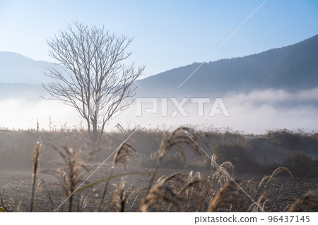 Early morning satoyama scenery with fog Early morning satoyama scenery with fog 96437145