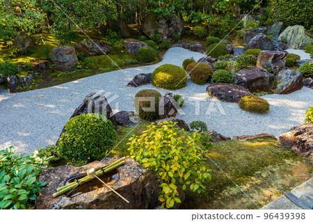 京都的秋天 樂齋太藏院的落葉 Motonobu 的花園 96439398