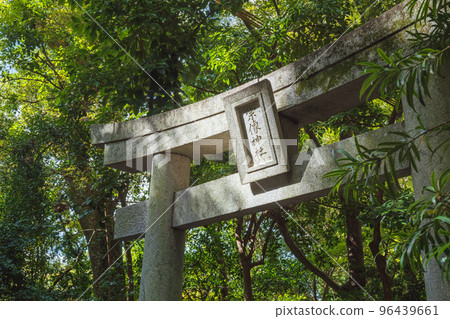 Fukuoka Munakata Taisha Shinto shrine forest torii 96439661