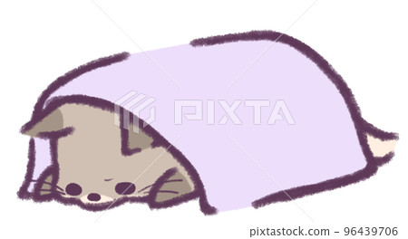 一隻皺著眉頭和一條毯子的灰狐 96439706