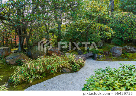 京都的秋天 樂齋太藏院的落葉 Motonobu 的花園 京都的秋天 樂齋太藏院的落葉 Motonobu 的花園 96439735