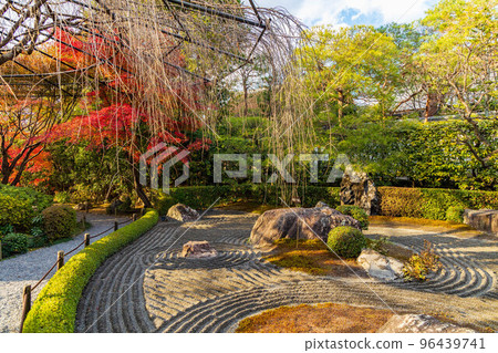 秋天在京都 Rakusai Taizo-in 與秋葉陰陽花園 96439741