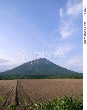 藍天、原野、羊蹄山(豎拍) 藍天、原野、羊蹄山(豎拍) 96440218
