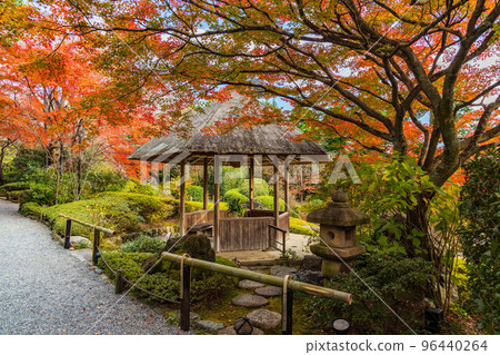 Autumn in Kyoto Rakusai Taizo-in with autumn leaves Yokoen 96440264