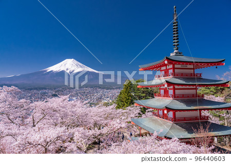 “山梨縣”富士山、五層寶塔和盛開的櫻花、春天的新倉山淺間公園 “山梨縣”富士山、五層寶塔和盛開的櫻花、春天的新倉山淺間公園 96440603